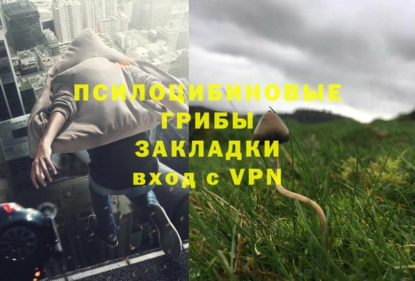 соль ск Покачи